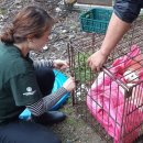 무리개농장 이미지