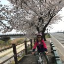 영강체육공원길 이미지