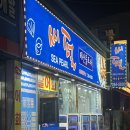 목포 하당 맛집 씨펄 후기 가볍게 회 먹기 좋은 2차 코스