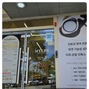 마이린 헤어 | 푸석한 머릿결에 심폐소생술 완료! 반석동미용실에서 천연 앰플로 찰랑거림 되찾음