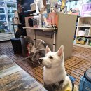 돈우하우스 이미지