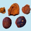 태평중국한의원 이미지