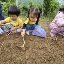 고구마 캐고 왔어요~&amp;직거래 장터&amp;퍼포먼스 이미지
