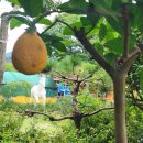 고덕펜션 | 동창들과 전주독채펜션 고덕펜션에서 보낸 힐링 여행 후기