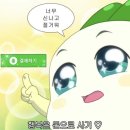 센터라인브로우바