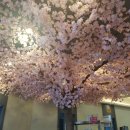 수조경로당 이미지