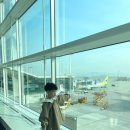 4세 아기랑 4박5일 guam 괌여행 1 : (롯데호텔, 투몬비치, 탕기슨버섯바위 별빛투어, 유앤아이 돌핀크루즈)