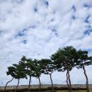 화성문고 이미지