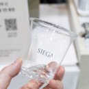 학여울 | 2026 서울 카페 베이커리 페어 관람 후기 학여울 세텍 주차