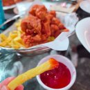 큰바위가든 | 가평가볼만한곳 아쿠아가든 가평점, 아이와 함께 수족관 카페 체험!