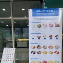 [다산/요거트월드 다산역점] 다산 요거트월드 리얼 카다이프 요거트아이스크림 꿀조합 포장 내돈내산 후기