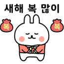 닥터맘 산후도우미 이미지