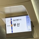 라이또PC방 울산본점 | 바다와 잔뜩 함께한 8월말 부산 2박3일 보고서