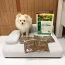 웰비트 | 강아지 사료 추천, 웰썸 인섹트 관절 곤충사료