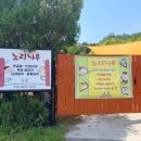 중리현대오일뱅크 | 애없는 임모가 다녀온 울산 아이와 가볼만한 곳 노리나무