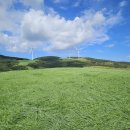 강원목장 이미지