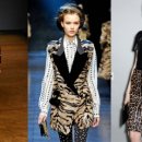 포켓애니멀 이미지