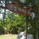 은빛비치는들 이미지