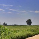 강산목장 이미지