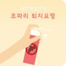 초파리 생기는 이유와 초파리없애는법 이미지