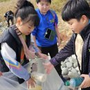 과역초등학교 이미지