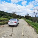 낙동제방 자전거도로 이미지