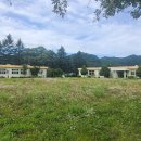 하장초등학교 이미지