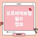 성의오토바이