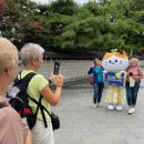 냥이마을