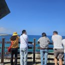 황가네족발 | [속초 맛집,속초 가면 꼭 가야할곳] 백종원의 3대천왕 가오리찜 맛집 "황가네찜"