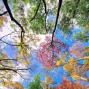 송헌섭소아청소년과의원 이미지