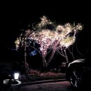 초록별펜션 이미지