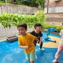 나라꽃안경 이미지