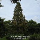 한양당구장 이미지