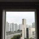 천인약품 | 군포 아파트 유리창 청소 , 상가 유리창 청소 ,아파트 유리창 청소가 필요한 이유는?