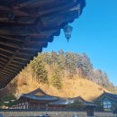 행복한휴식 1박2일 | 월정사 템플스테이 휴식형 1박2일 후기