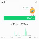 오징어의 하루 이미지