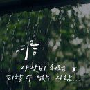 일년에 한 번은 실컷 울어버려야 했다 🌂🌧☂️⚡️🎧 이미지