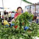 정선아리랑 조형물 이미지