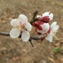 구미로173번길 이미지