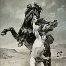 부케팔로스 이미지