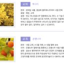 한국K-POP고등학교 | (특성화고/직업고) 한국K-POP고등학교 2026 신입생 입학안내, 2026 학교안내