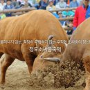 [2020-백파] ☆ 낙동강 1300리 종주 이야기 (43) ② 밀양강 청도 이미지