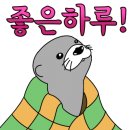 로이드밤헤어 검암점