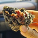 칠암사계 | 부산 기장 소금빵 맛집 칠암사계 내돈내산 방문후기