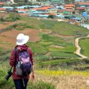 청산 1호발전소 | [전남/완도] 섬을 걷다. 청산도 (청산도여행코스, 청산도 슬로길, 청산도 슬로우시티, 청산도 가는 방법...