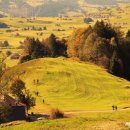 서초대로53길 24 이미지