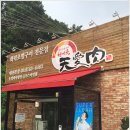 천애육태전 이미지
