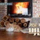 만나민박 이미지