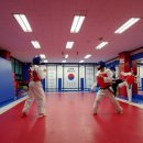 탑동태권도 이미지